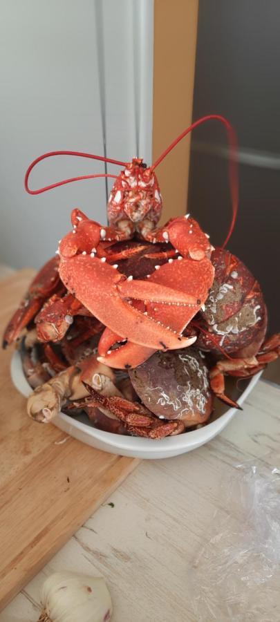 Maison bord de Mer Arzon Eksteriør bilde